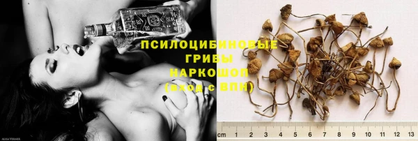 индика Балабаново