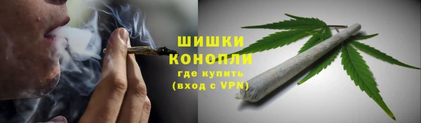 индика Балабаново