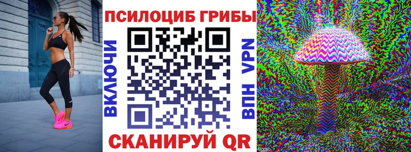 Галлюциногенные грибы мицелий  закладки  Николаевск-на-Амуре 